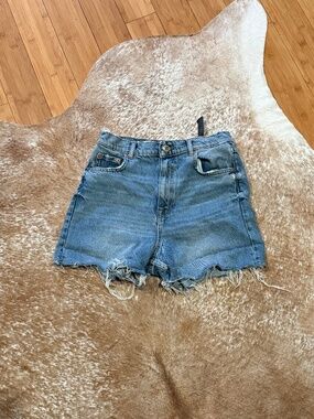 Zara Shorts
